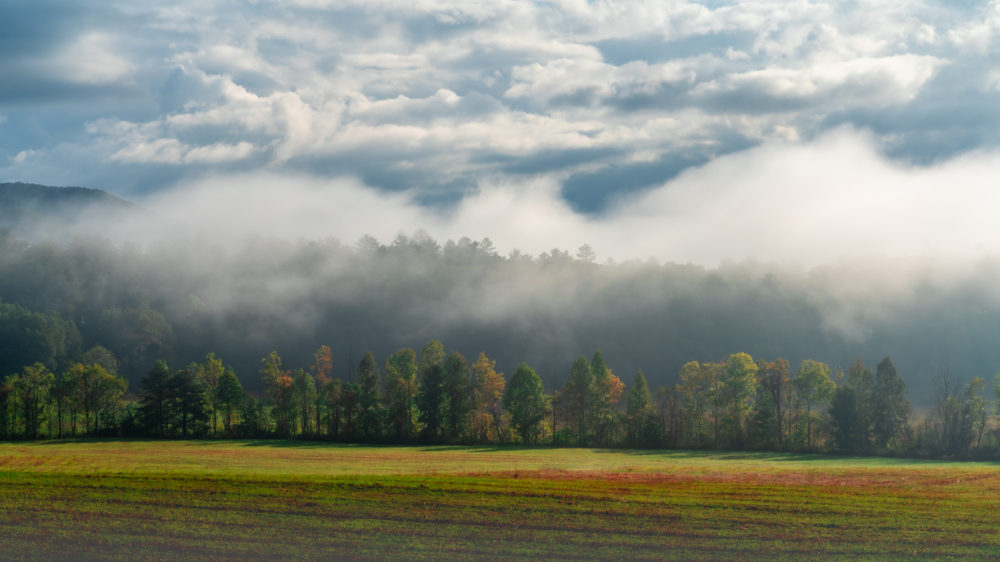 Photo of a landscape shrouded in fog. The fog that gives the Great Smoky Mountains their name. © Joe Woo