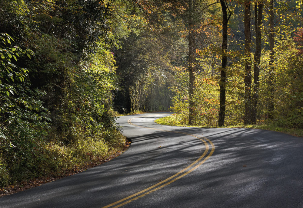 Photo of a winding road going through a forest with colorful fall leaves. Fall colors in the Smokies © Ken Wickham