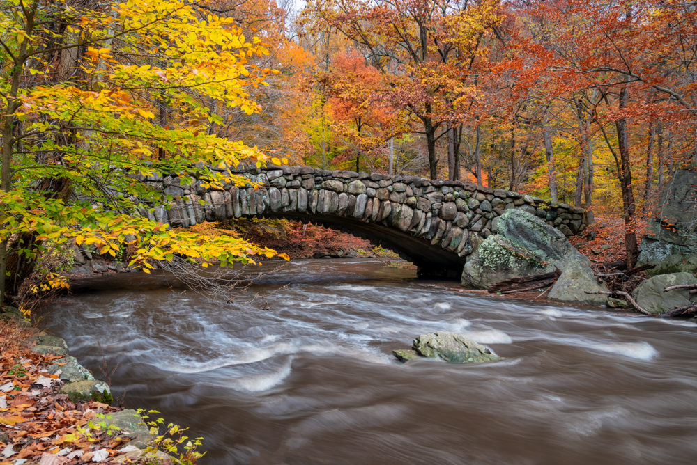 Photo of a rustic bridge over a rushing creek with colorful fall foliage in the background. The road through this part of Rock Creek Park was closed to traffic during the pandemic. © Frank Gallagher
