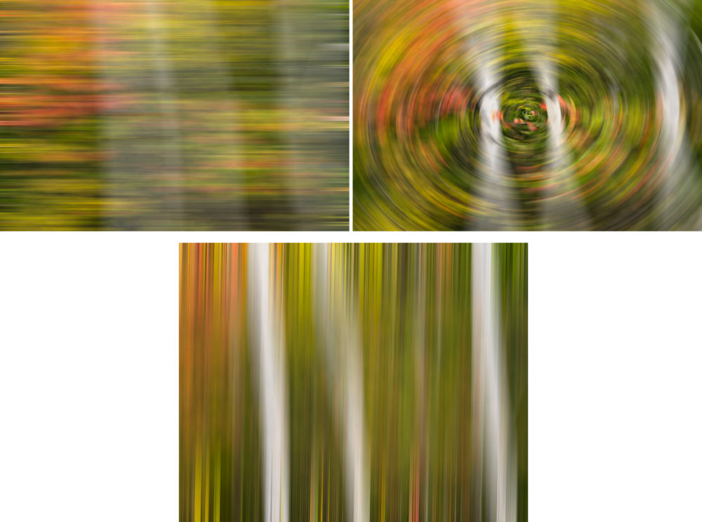 Three varieties of blur applied in Photoshop: horizontal, radial and vertical. Motion blur examples using Photoshop selecting Filter>Blur>Motion Blur. The amount was set to 1000 in the horizontal image. You can change the angle to change direction of blur, as when the blur was applied vertically with the amount set to 2000. For the circular motion blur in Photoshop, select Filter>Blur Gallery>Spin Blur. You can click on the outer handles to stretch circular blur to cover as much of image as you want.