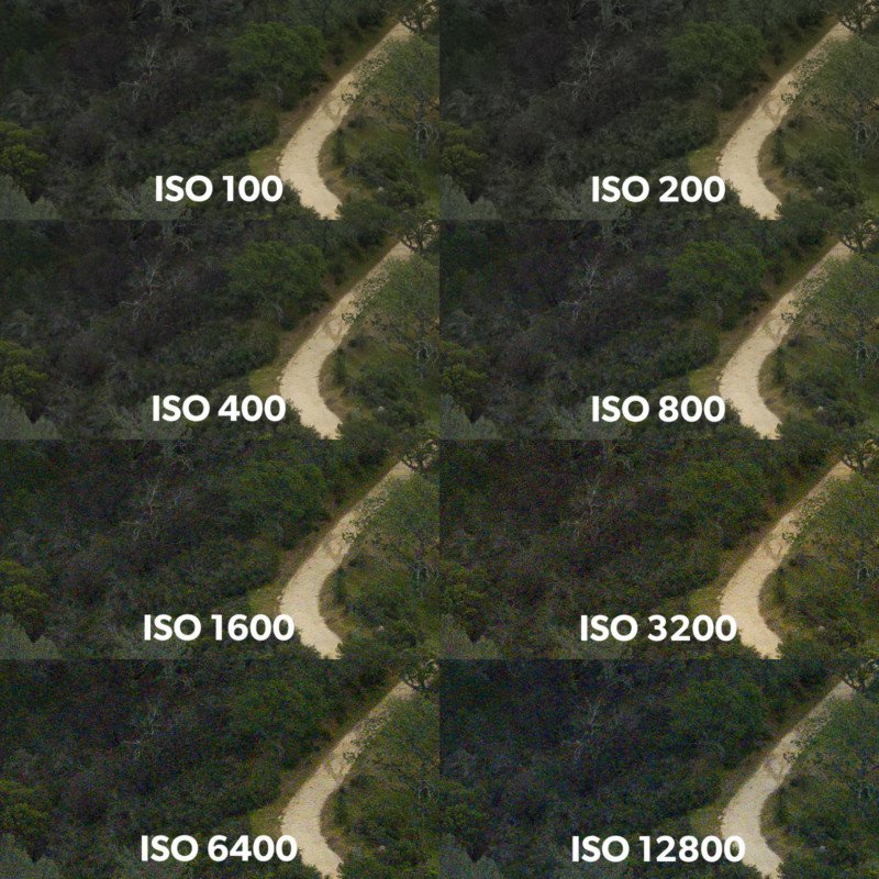 100% crops throughout the ISO range.